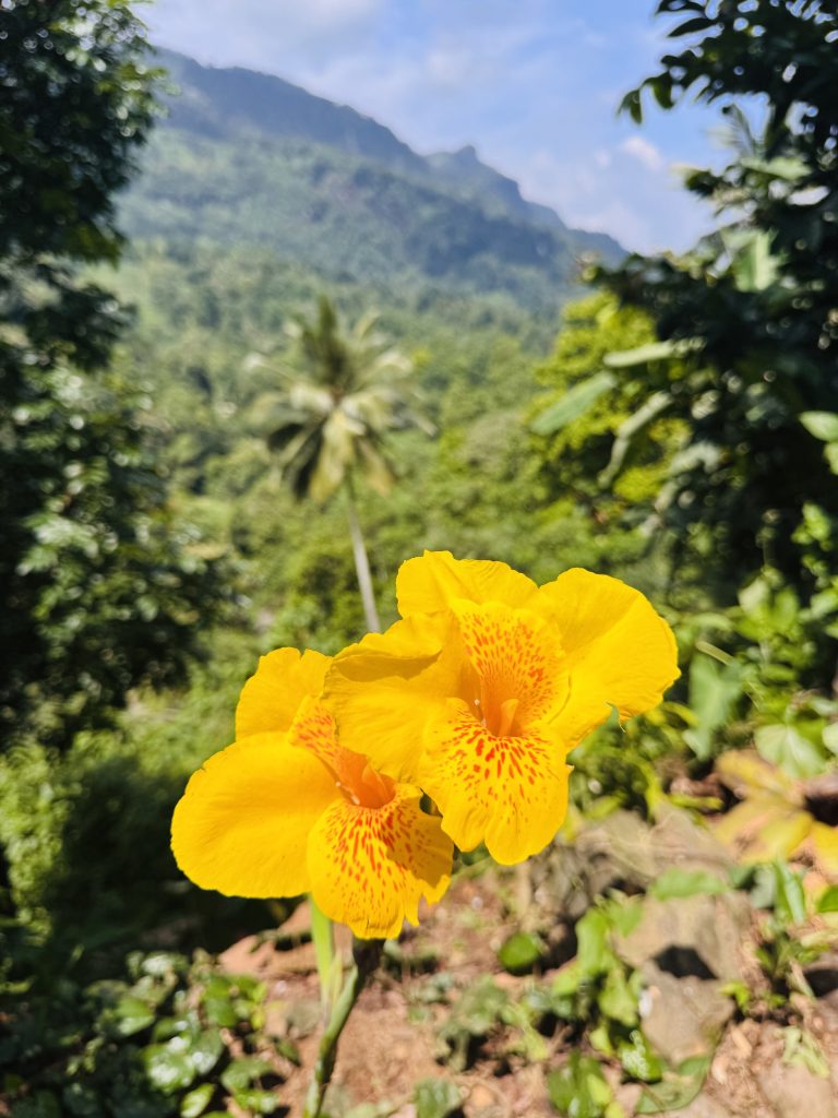 TheCave-Berannawa-29
